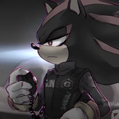 Shadow-Officer