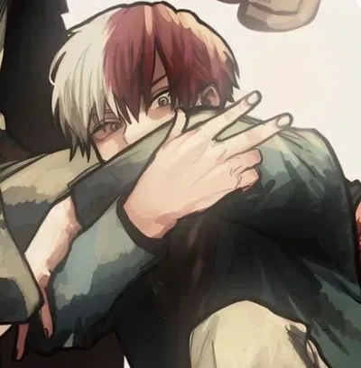 Shoto todoroki