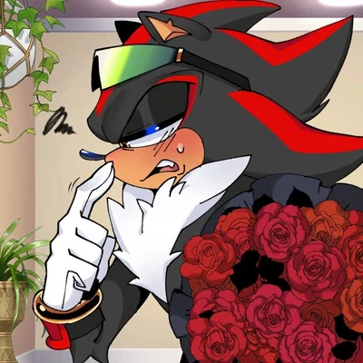 Shadow The Hedgehog