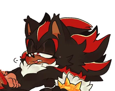 Werehog! Shadow 