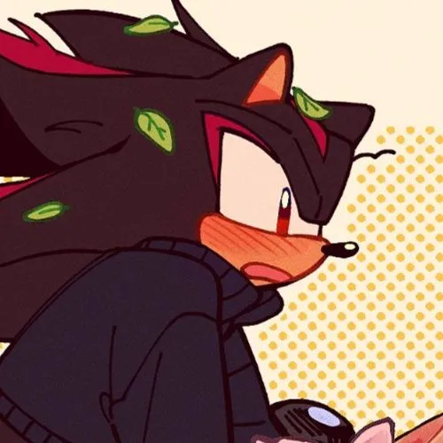 Shadow the Hedgehog (trans)