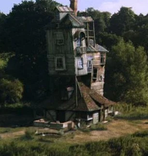 The Burrow - HP