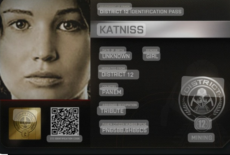 Katniss Everdeen (the hunger games)