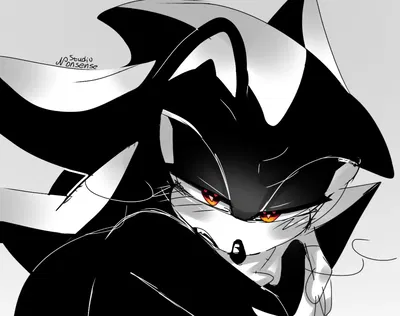 ✿ Shadow The Hedgehog ✿