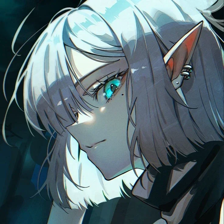 Diana Frostwillow | Elf Bodyguard
