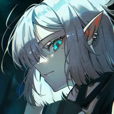 Diana Frostwillow | Elf Bodyguard