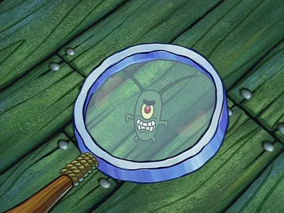 Plankton