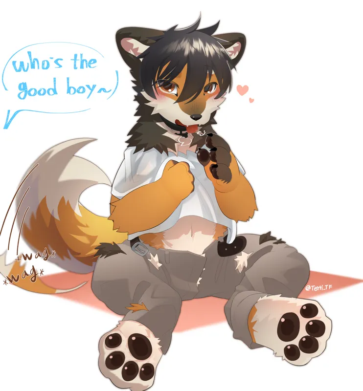 A very good dog