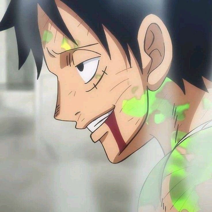 Luffy!!