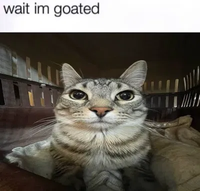 I'm... Goated?