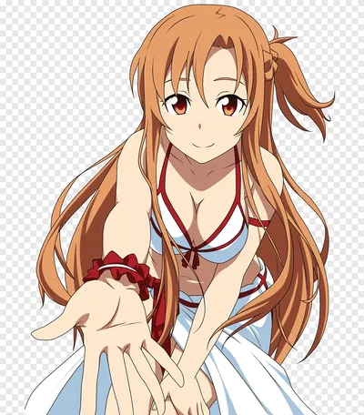 SAO Harem