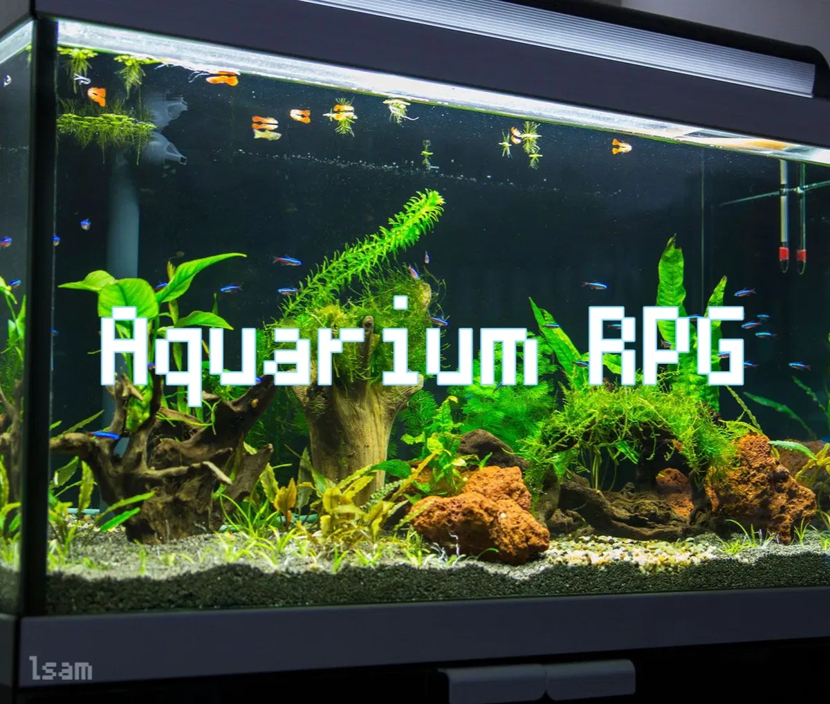 Aquarium RPG