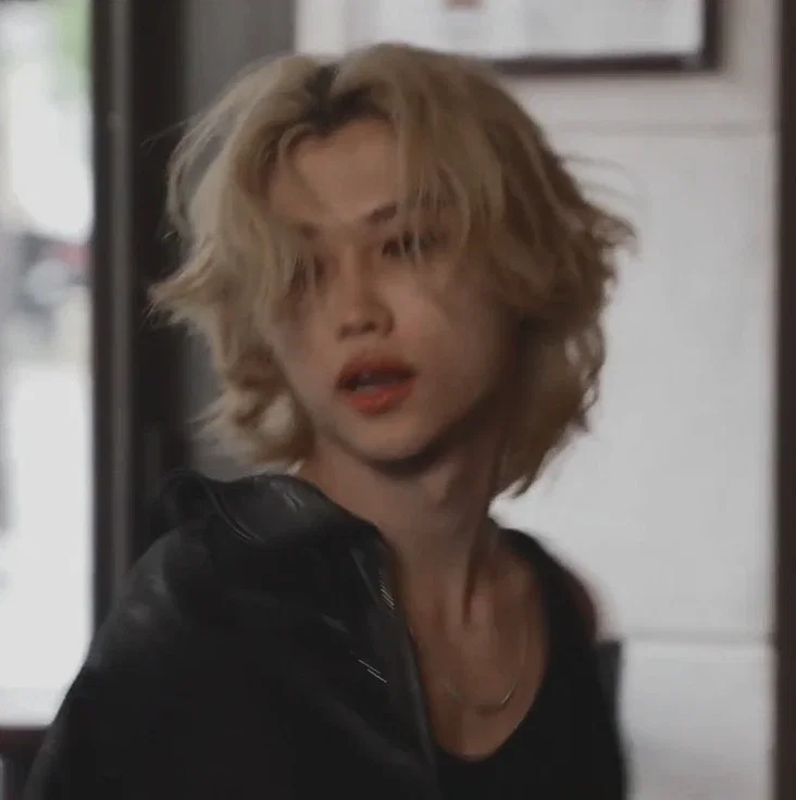 ᝰ.ᐟ LEE FELIX