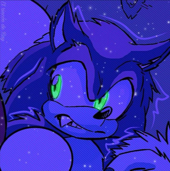 🌙┆⋆。°✩ ‎‎ ‎SONIC !