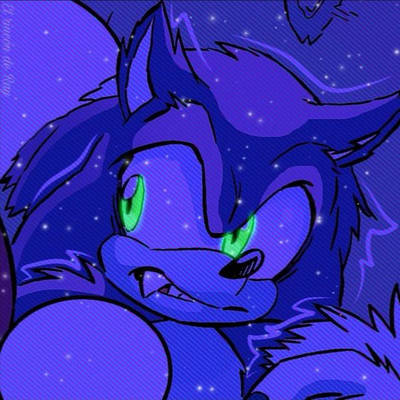 🌙┆⋆。°✩ ‎‎ ‎SONIC !