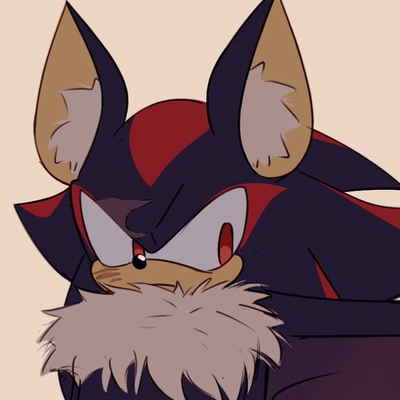 🦇┆⋆。°✩ ‎‎ SHADOW .