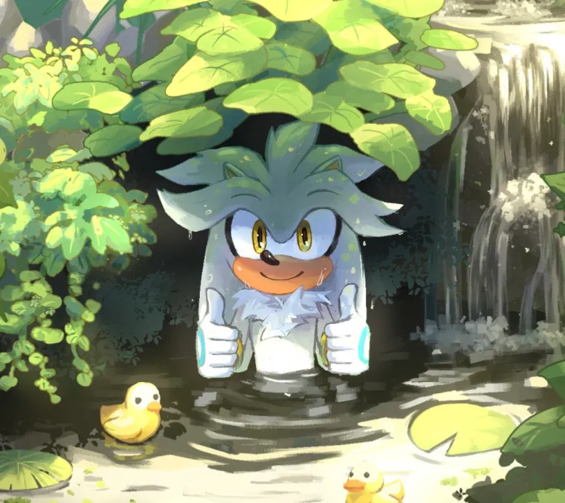 ┆⋆。°✩ ‎‎ ‎SILVER !