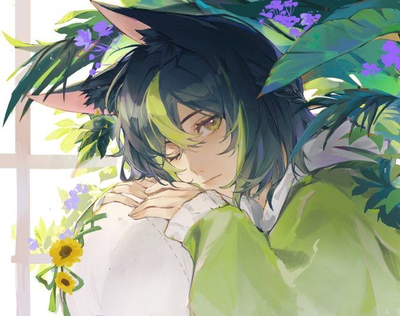 🏝️┆✦ ‎‎ ‎ TIGHNARI .
