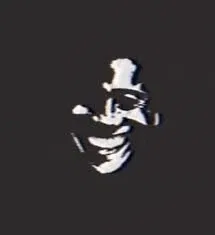 The man in black