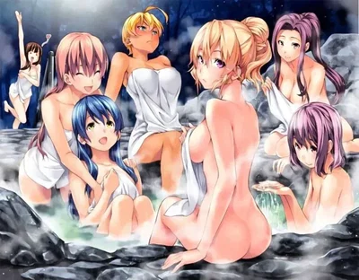 Food Wars / Shokugeki no Soma Harem