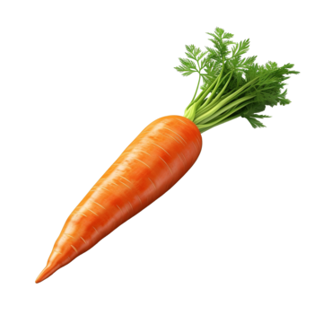 Carrot