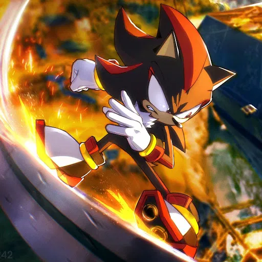 ☆shadow the hedgehog☆