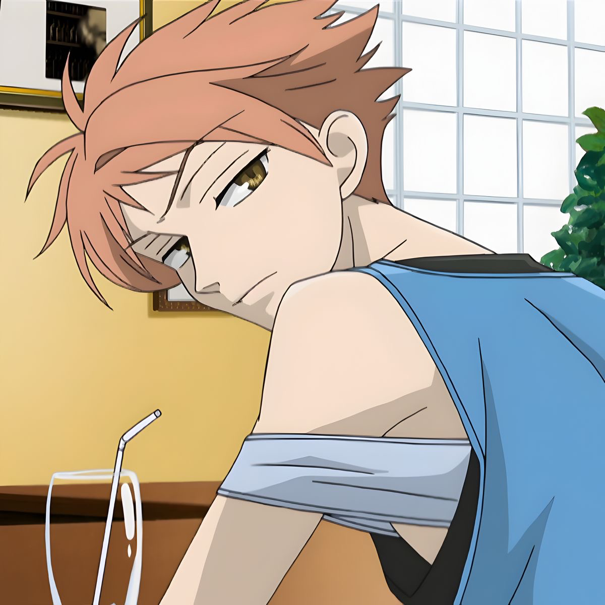 Hikaru Hitachiin