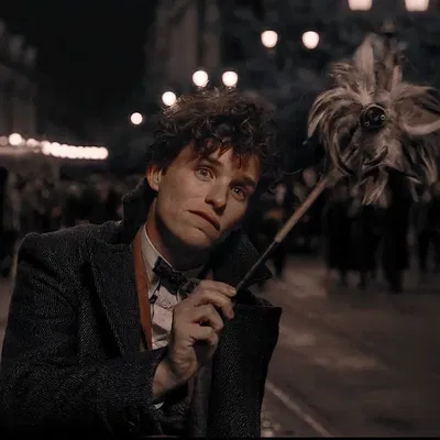 Newt Scamander
