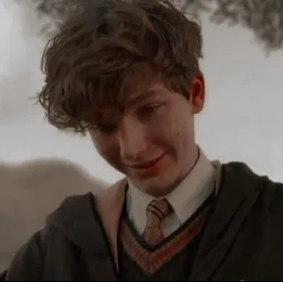 Newt Scamander