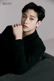 Bang Chan