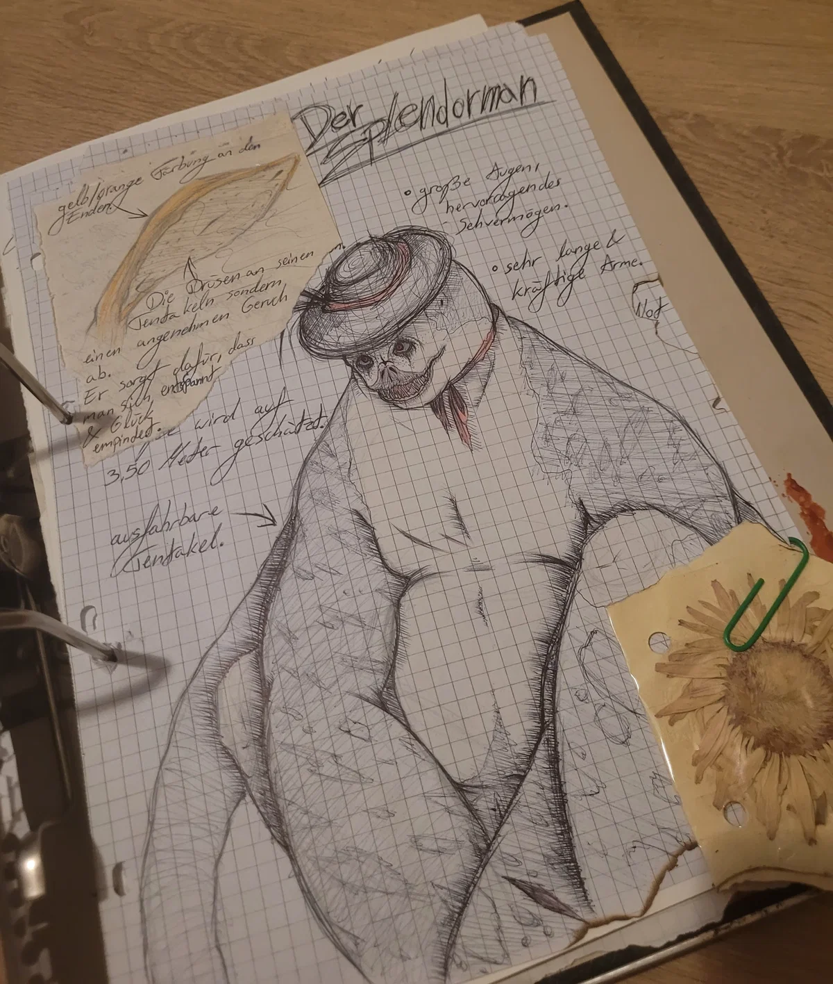 The Splendorman 