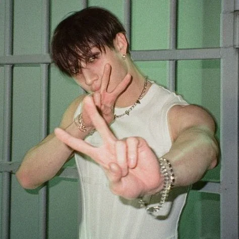 bangchan (chase atlantic series)
