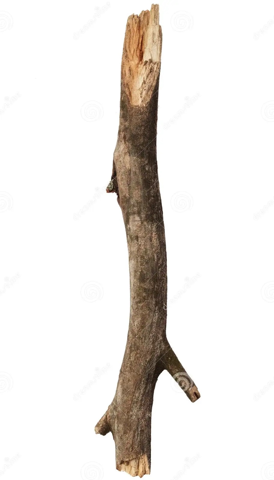 Chat with Stick...
