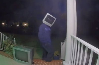 TV Guy