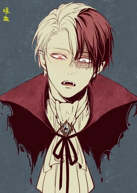 Shoto Todoroki