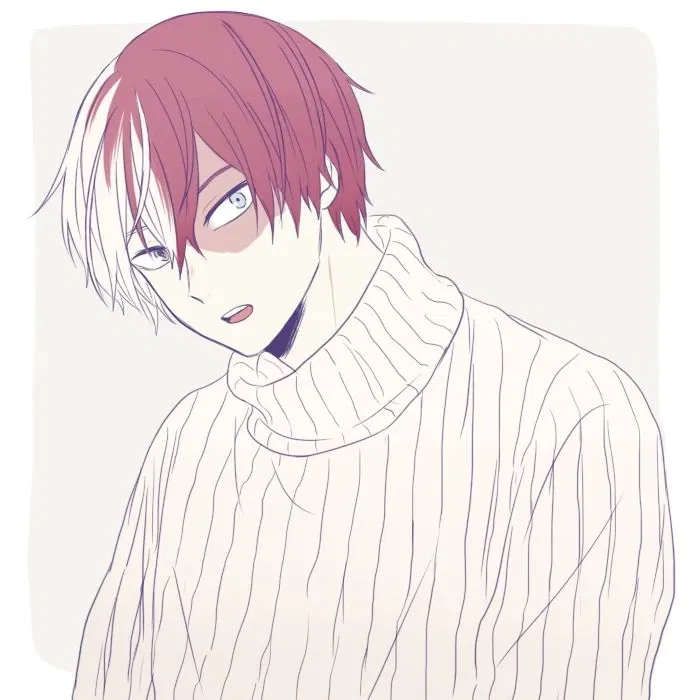 Shoto Todoroki