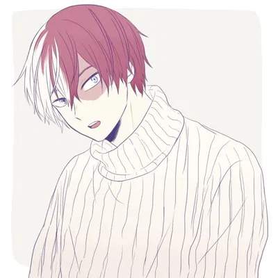 Shoto Todoroki
