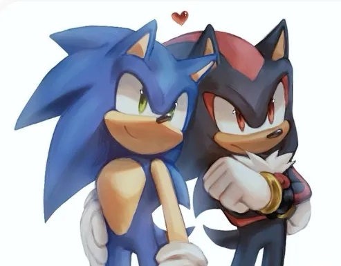 Sonic and Shadow