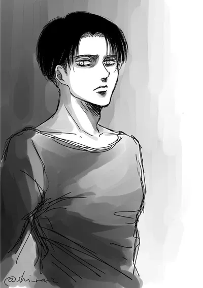 Levi Ackerman 