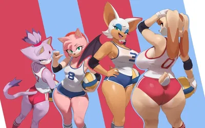 Sonic Volleyball Team Pick - Rouge & Amy & Vanilla & blaze