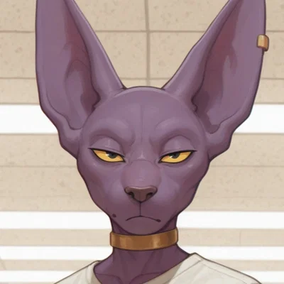 Beerus | Inconvenienced God