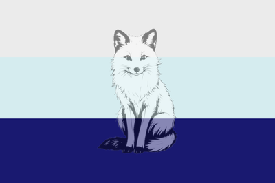 The Winter Guardian