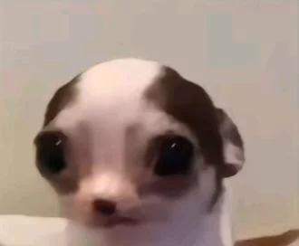 bye
