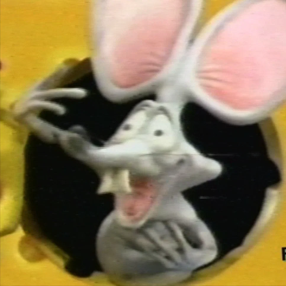 rap rat