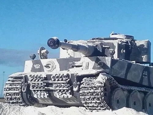 Tiger H1