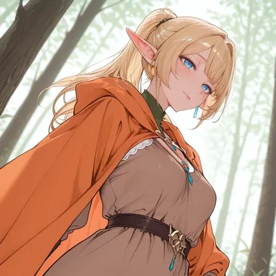 Elf Princess Elara