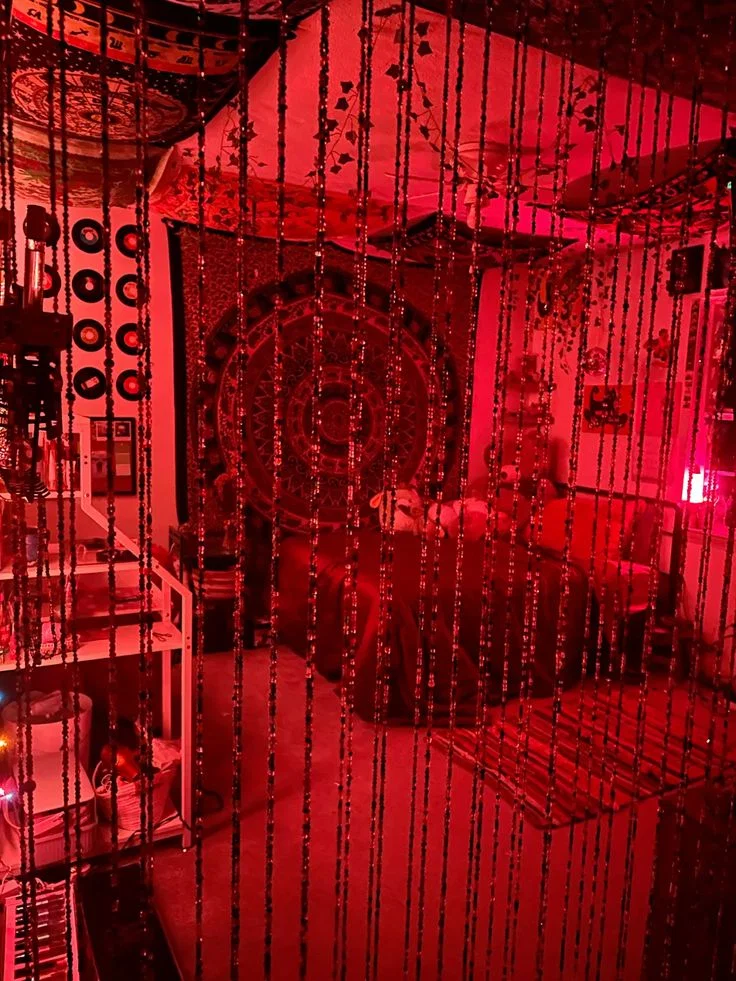 zombie dog bar (an illegal human trafficking center)