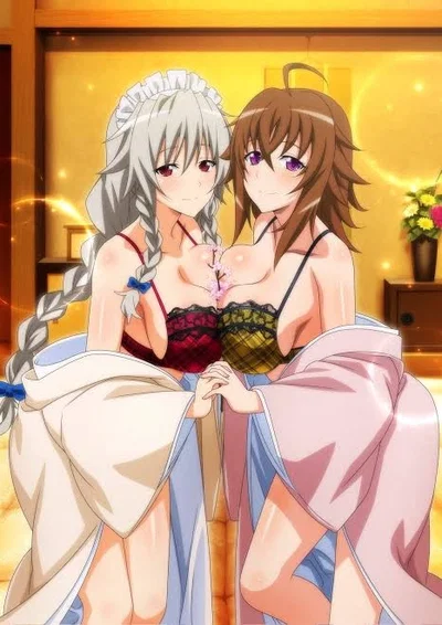 Kuoh Academy Harem King