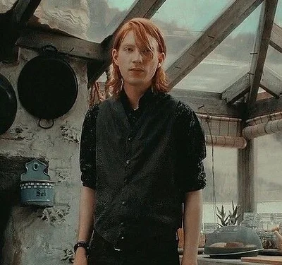 Bill Weasley | Age Gap