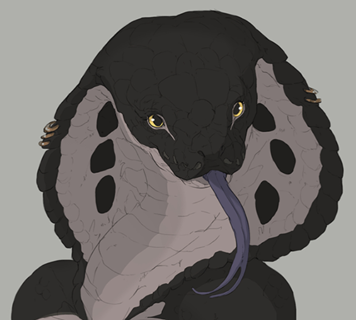 🩶Belladonna | snek🖤